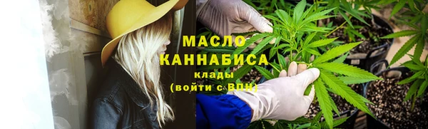 гашик Ельня