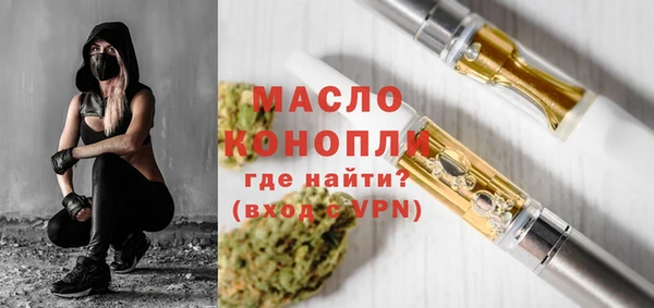 гашик Ельня