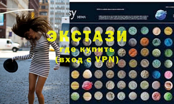 гашик Ельня