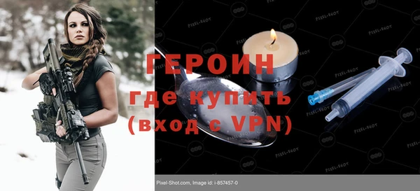 гашик Ельня