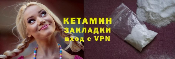 гашик Ельня