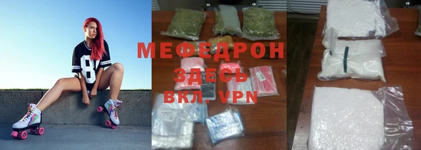 гашик Ельня