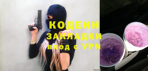 гашик Ельня