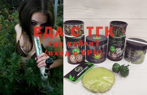 гашик Ельня