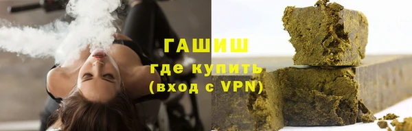 гашик Ельня