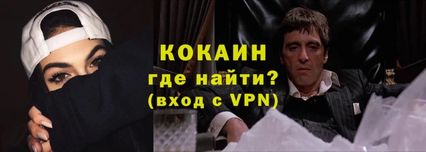 гашик Ельня