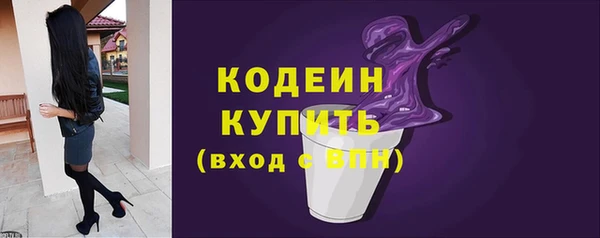 гашик Ельня
