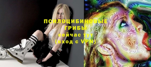 МДПВ Елабуга