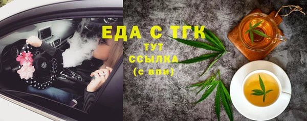 гашик Ельня