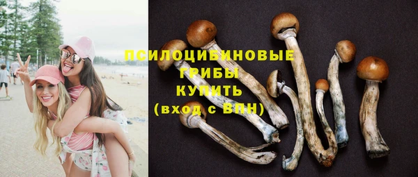 прущая мука Елизово