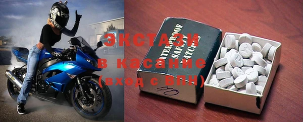 гашик Ельня