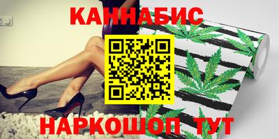 мдпв Новозыбков