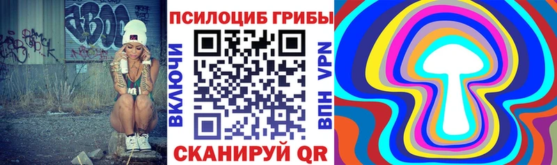 Псилоцибиновые грибы Cubensis  Хасавюрт 