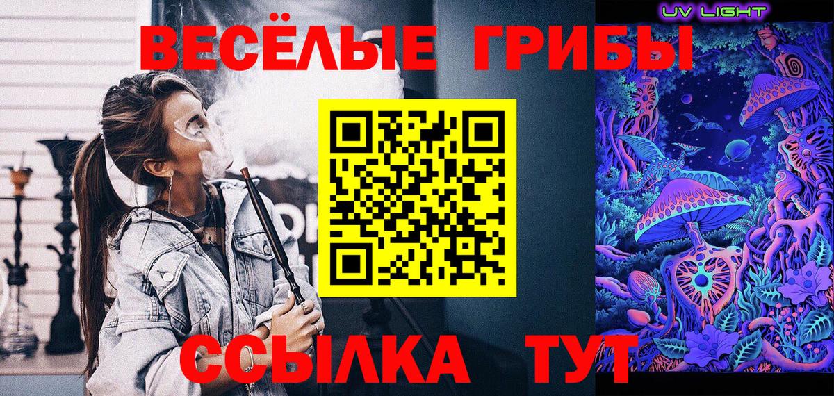 Хасавюрт  Галлюциногенные грибы Psilocybe  Вход с VPN 